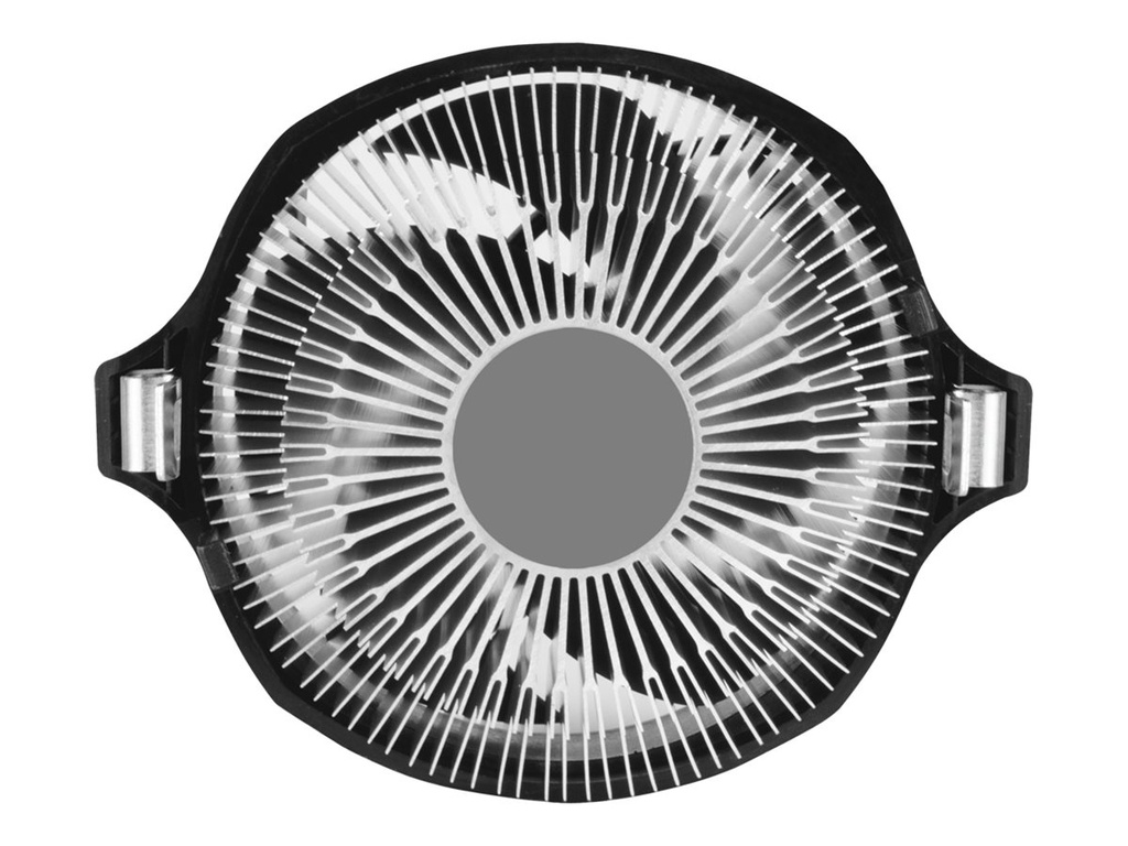 jpg
