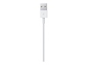 APPLE Lightning to USB Cable (1 m)