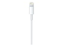 APPLE USB-C auf Lightning Kabel 1m