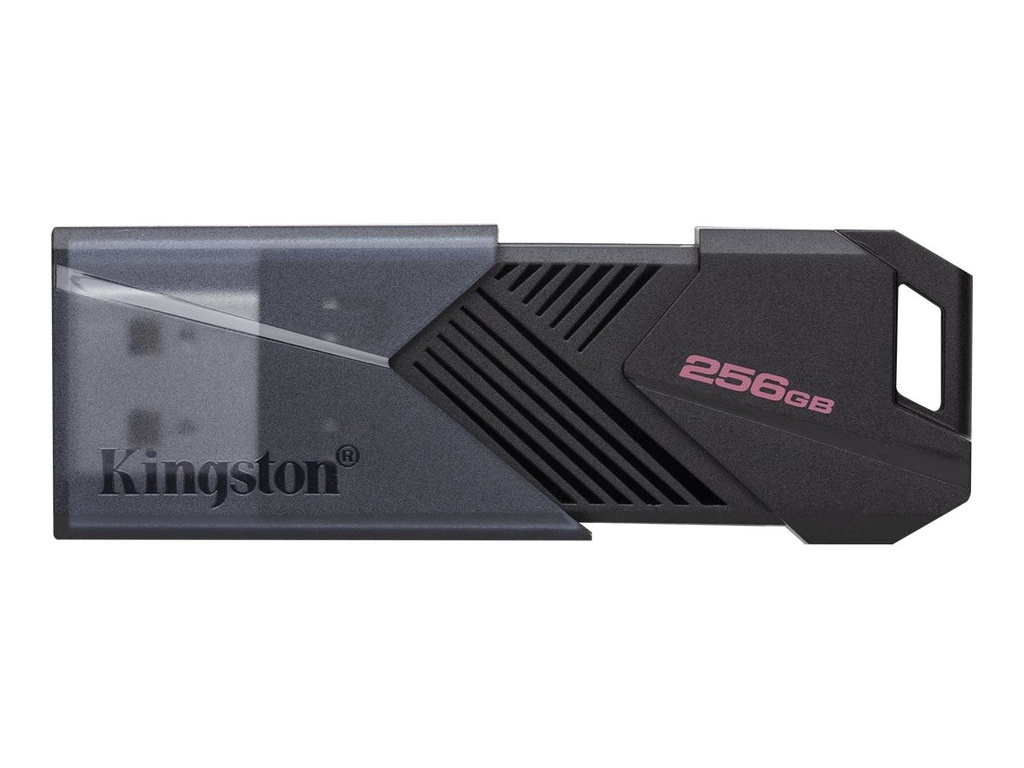 KINGSTON DT Exodia Onyx 256GB