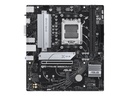 ASUS PRIME B650M-K SAM5